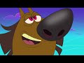 Zig & Sharko 🧐 SHARK OR MERMAID?  - Compilation in HD