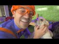 Blippi at the Baseball Stadium | Sports and Outdoor Activities for Kids