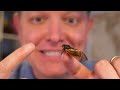 I Pointed a SlowMotion Camera at a Cicada. (How Cicadas Make Noise)- Smarter Every Day 299