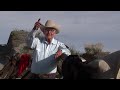 Where does border wall construction stand? Portions of an incomplete wall seen on Arivaca ranch