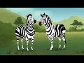 Camouflage in the Jungle | Zebras and More | Adventures with the Kratts | 9 Story Kids