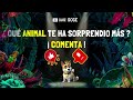 Curiosidades de ANIMALES 😱🦑🐍 ¿Cuánto sabes del reino animal? 👀