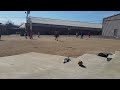 Football at recess