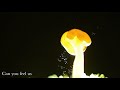 Beautiful Chorus - Brilliant Mycelium (Official Lyric Video)