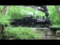 Geared Steam Locomotives in Cass WV