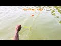 Amuzing net fishing #video #fishing #kerala