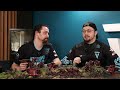 How to Play T'au Empire in Warhammer 40K 10th Edition