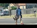 hide your pets from the Haitians in Springfield Ohio Song