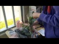 Unboxing of Plants from Planted Aquariums Central