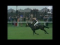 Improbable Finish to The 1967 Grand National Horse Race | Sporting History