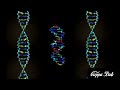 Linked DNA | Original Version | 2018