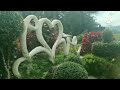 Sirao flower garden Cebu City update | JB Vlogs #travel #siraogarden #travelvlog