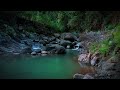Calm River Relaxing Sounds for Therapy, Stress Relief, Insomnia, Meditation, Healing