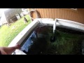 Home Bait tank 800 gallons