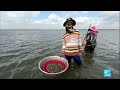 Mekong River in jeopardy: Sand-pumping operations ravage ecosystem • FRANCE 24 English