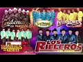 Los Tucanes De Tijuana , Rieleros Del Norte , Cardenales De Nuevo Leon, Rieleros Del Norte...