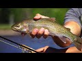 Fly Fishing Rock Creek, Montana - beautiful scenery and lots of fish