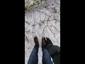 Short walk in the snow (vertical)
