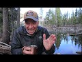 Couple spends week in SHOSHONE National Forest...This is What HAPPENED!