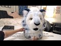 Channy the Snow Leopard: Part 1 | Fursuit Timelapse