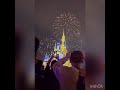 Fireworks at Magic Kingdom (WARNING: Possible Strong Language)