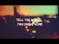 I'm Coming Home - Skylar Grey (lyrics)