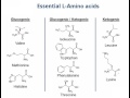 Essential amino acids mnemonic song - very short