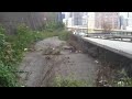 Abandoned Highway Ramp to Nowhere Pittsburgh Explained