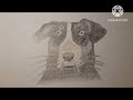 💗My first Foster dog Art!💗