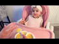 BABY FOOD RECIPES (9-12 MONTHS) | Baby Led Weaning (BLW) Meals for Breakfast, Lunch & Dinner