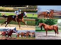 Secretariat - Full Theme by Nick Glennie-Smith