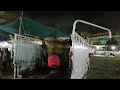 Cattle Market Start in Karachi | Nadranbypass Mandi | Gadap Mandi | Cow and Bull 🐂