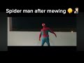 Spider man edit #funny #cool