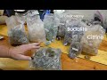 Rocks? Yeah We Got That!  Rock Shed Order Unboxing...