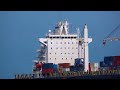 13 BIG SHIPS AT THE PORT OF ROTTERDAM NETHERLANDS - 4K SHIPSPOTTING JUNE 2024