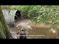 UNCLOGGING BEAVER CLOG IN CULVERT! 07/2024