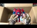Marvel Action Dolls | Spider Man Popular Toy Collection | Spider Man Toy Gun Collection Open Box