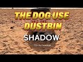 Social awareness, Short Film#20241mintshort filmWastageShort Film #dogusethedustbin shadow