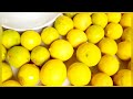 त्वचा का निखार भी बढ़ाओ और  वजन भी घटाओ नींबू के चाय के साथ || Lemon Tea Recipe 🍵☕ ||