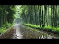 THUNDERSTORM SOUNDS IN THE BAMBOO FOREST FOR SLEEPING | INSOMNIA RELIEF WITH RAIN FOR DEEP SLEEP