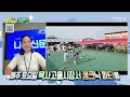 캠핑에 피크닉을 더하다🏕️ 이젠 캠크닉의 시대! [남도탐구생활_광주MBC_2024.07.16]