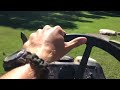 Last ride of the racing lawnmower