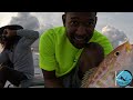 EPIC YELLOWTAIL FISHING FIRST VIDEO 2024