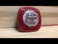 Gentex SSPK24WLPR Fire Alarm Speaker Strobe Demo w/ Fire-Lite Voice Massage