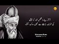 Maulana Rumi Quotes You MUST Listen When You are Feeling Down
