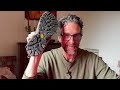 The Shoe That Broke the Hiking Footwear Industry