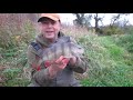How to catch Perch from Rivers