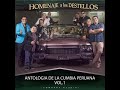 Mix Instrumental los Destellos: Caminito Serrano / Amor Andino / Patricia / El Avispón / El...