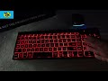 Unleash Freedom: The Ultimate Wireless Keyboard and Mouse Duos