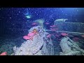 Wreck diving the SS Thistlegorm